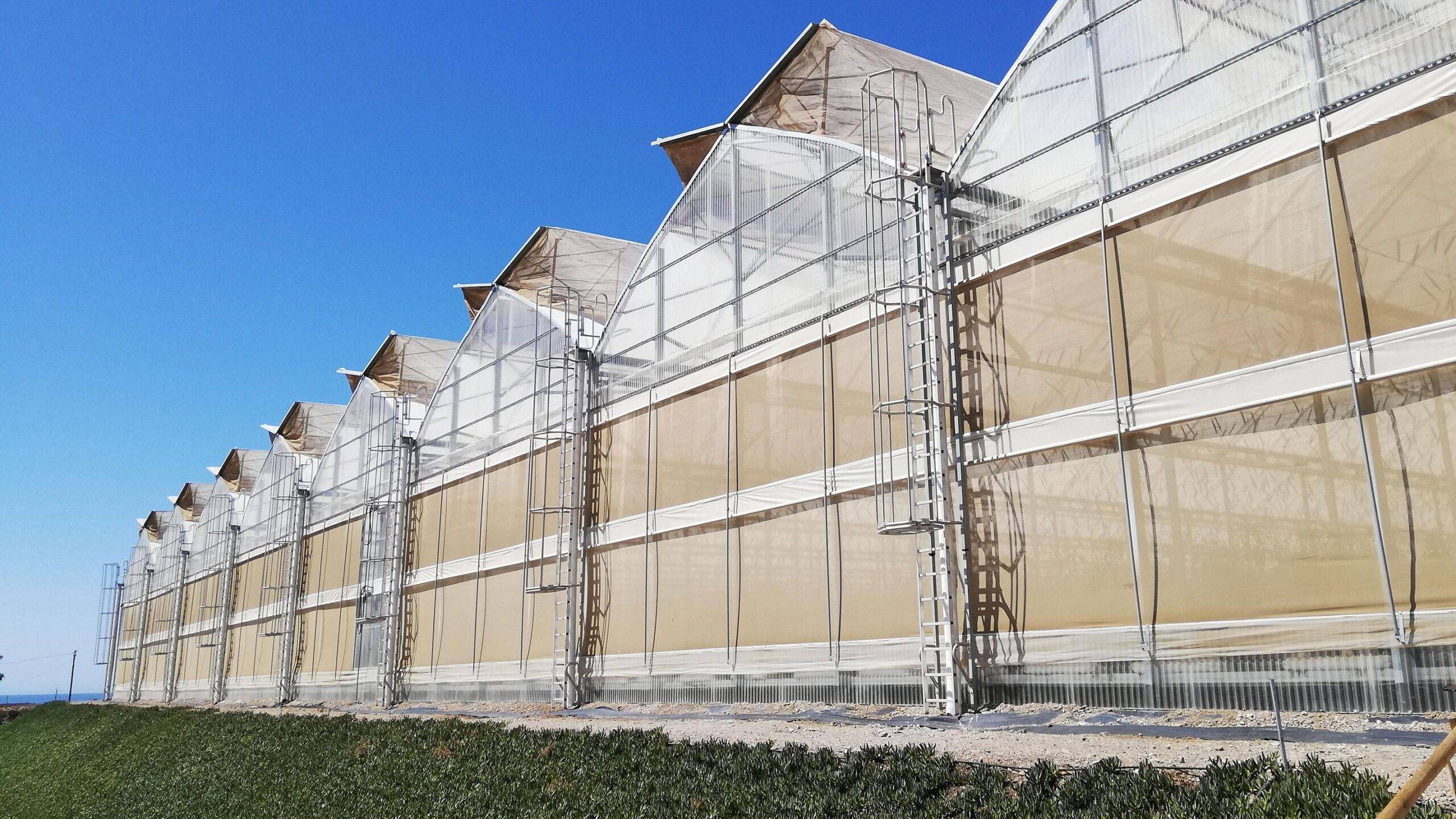 Novagric-cherry|proyect-Novagric-2